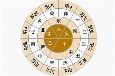 八字五行比例|五行的比例说明什么